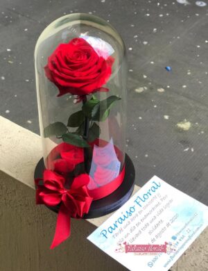 Arreglo Rosas Preservadas