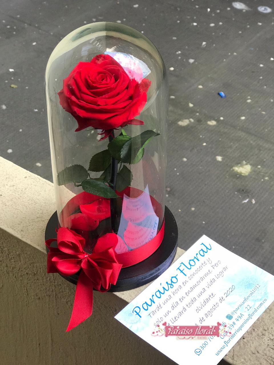 Arreglo Rosas Preservadas