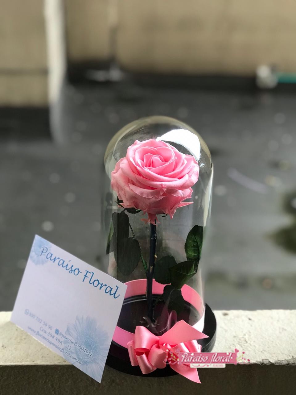 Arreglo Rosas Preservadas - Imagen 4