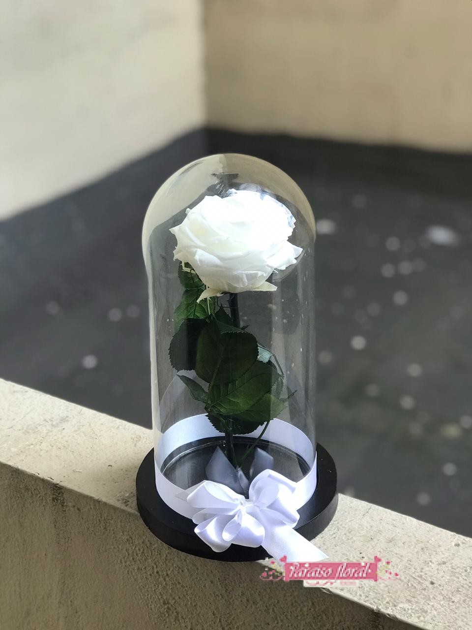 Arreglo Rosas Preservadas - Imagen 7