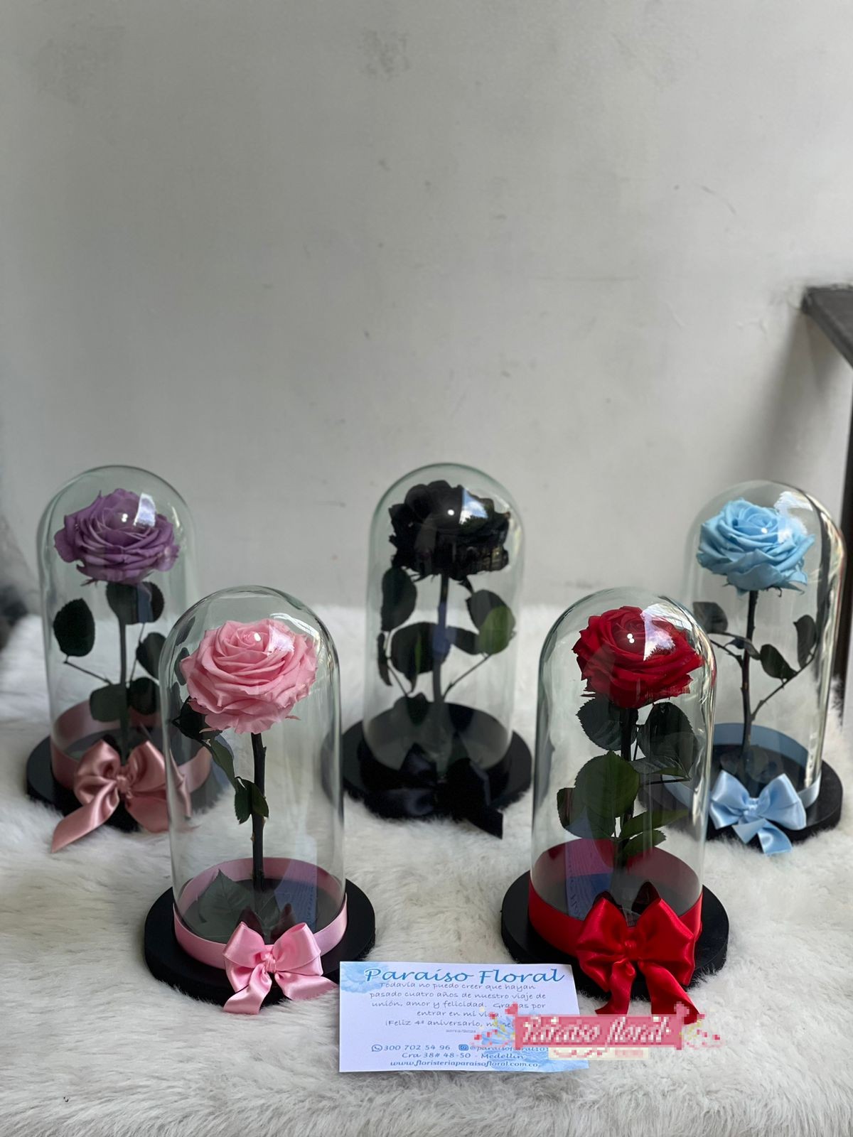 Arreglo Rosas Preservadas - Imagen 8